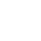 Artificial intelligence (Al)